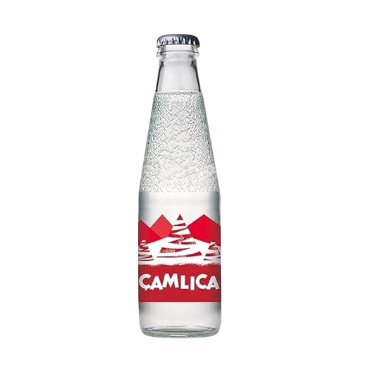 Camlica Gazoz Limonade Sprudel Wasser 200ml